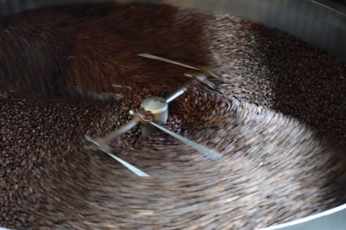 Freshly roasted coffee beans turning in the cooling tray